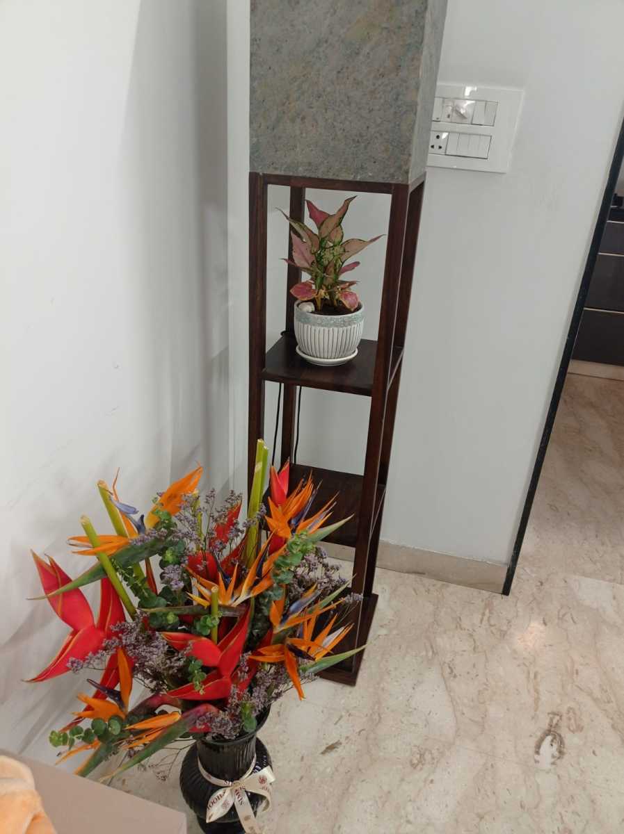 Gorgeous flowers