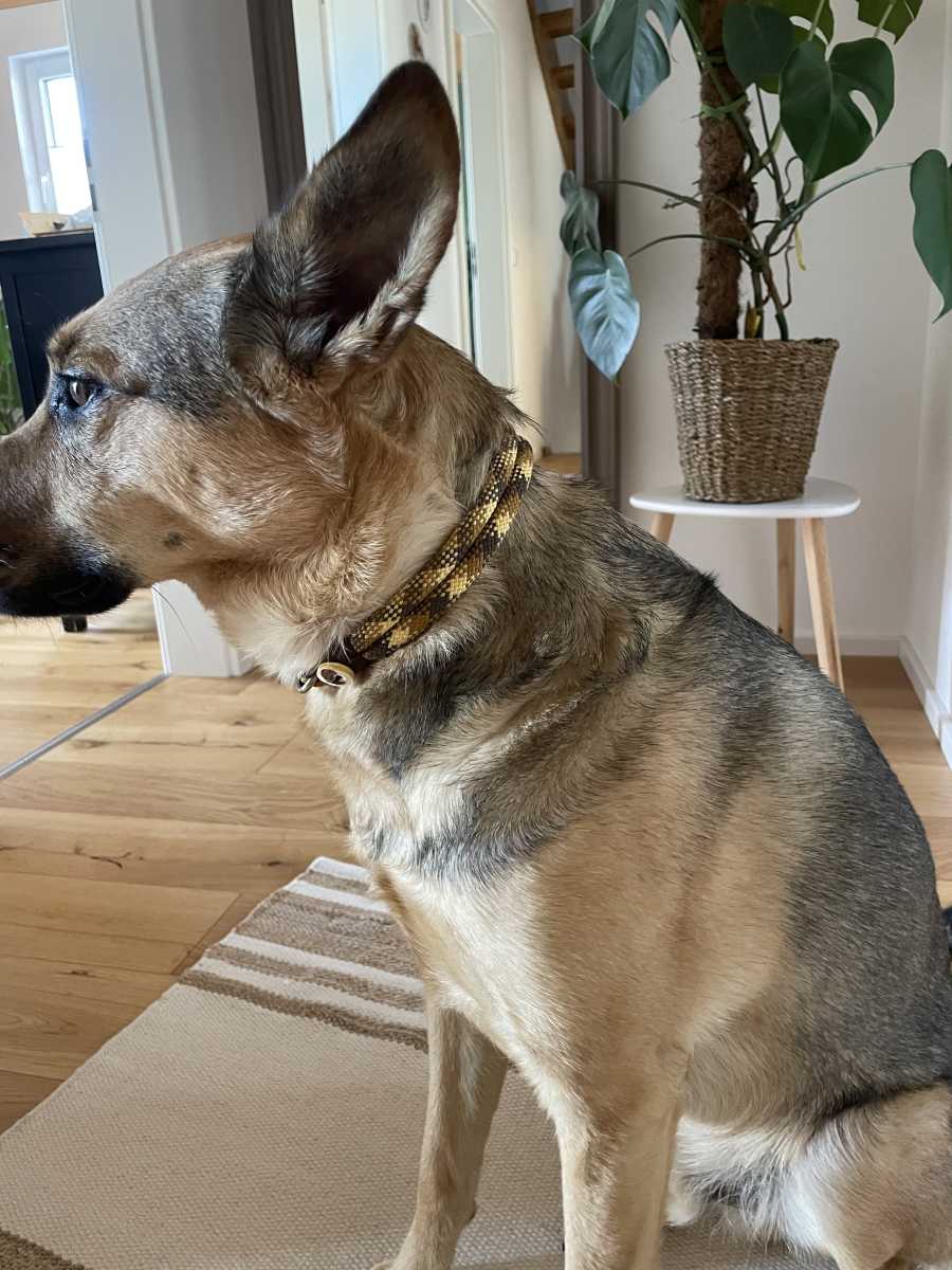 Einfach wunderschön 🤩