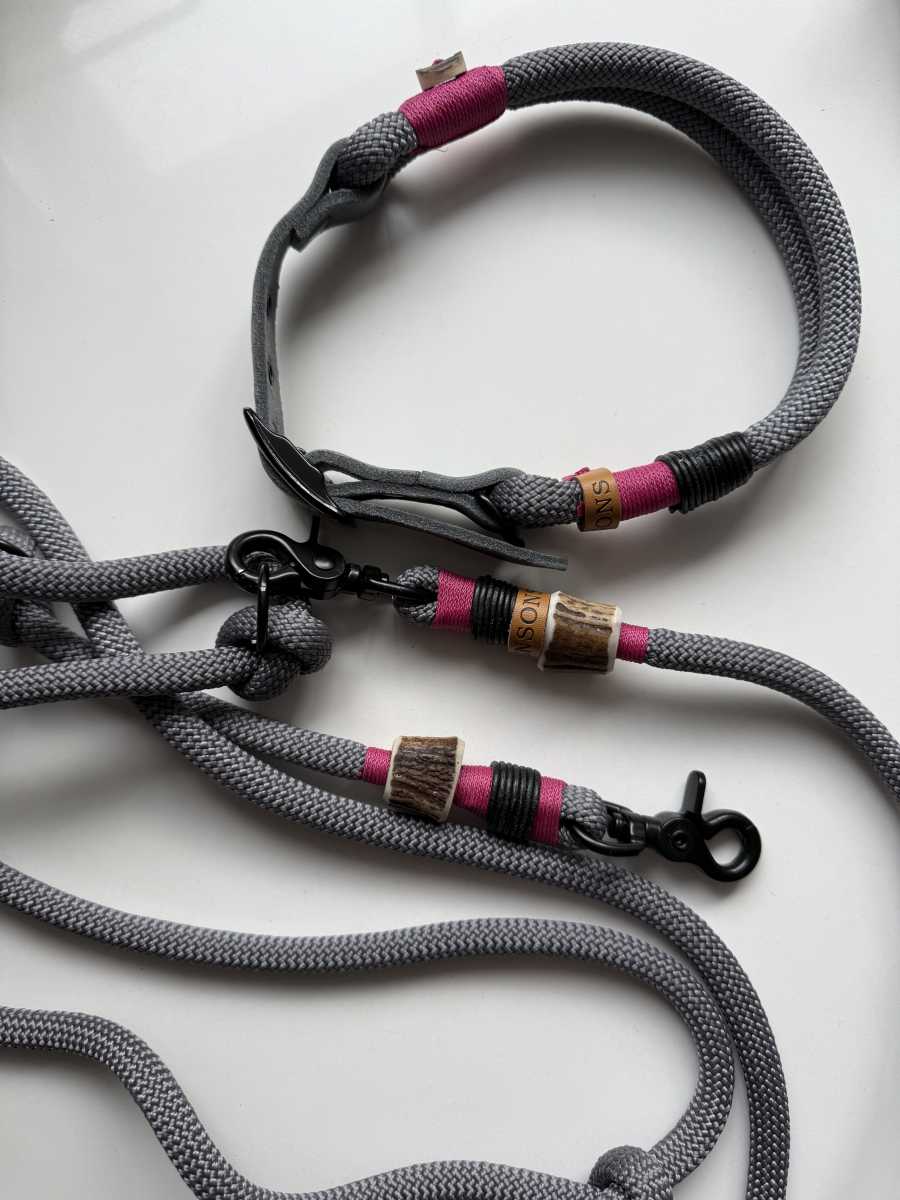 Einzigartig! Stylisches Halsband mit Leine