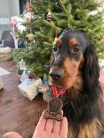 Amazing craftsmanship and customer service.