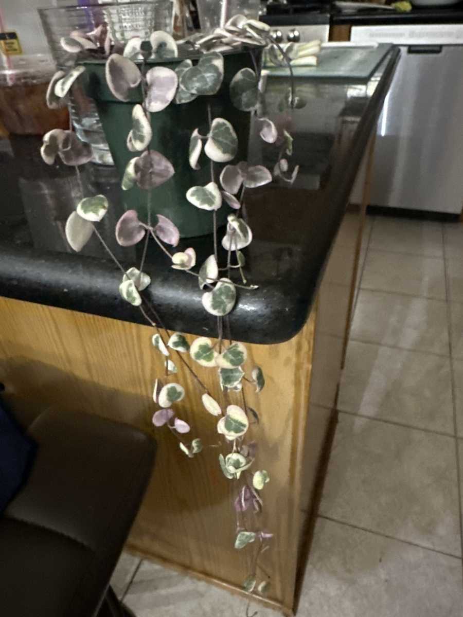 Happy customer