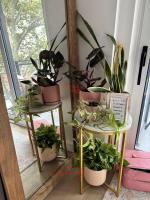 Excellent Products & Service