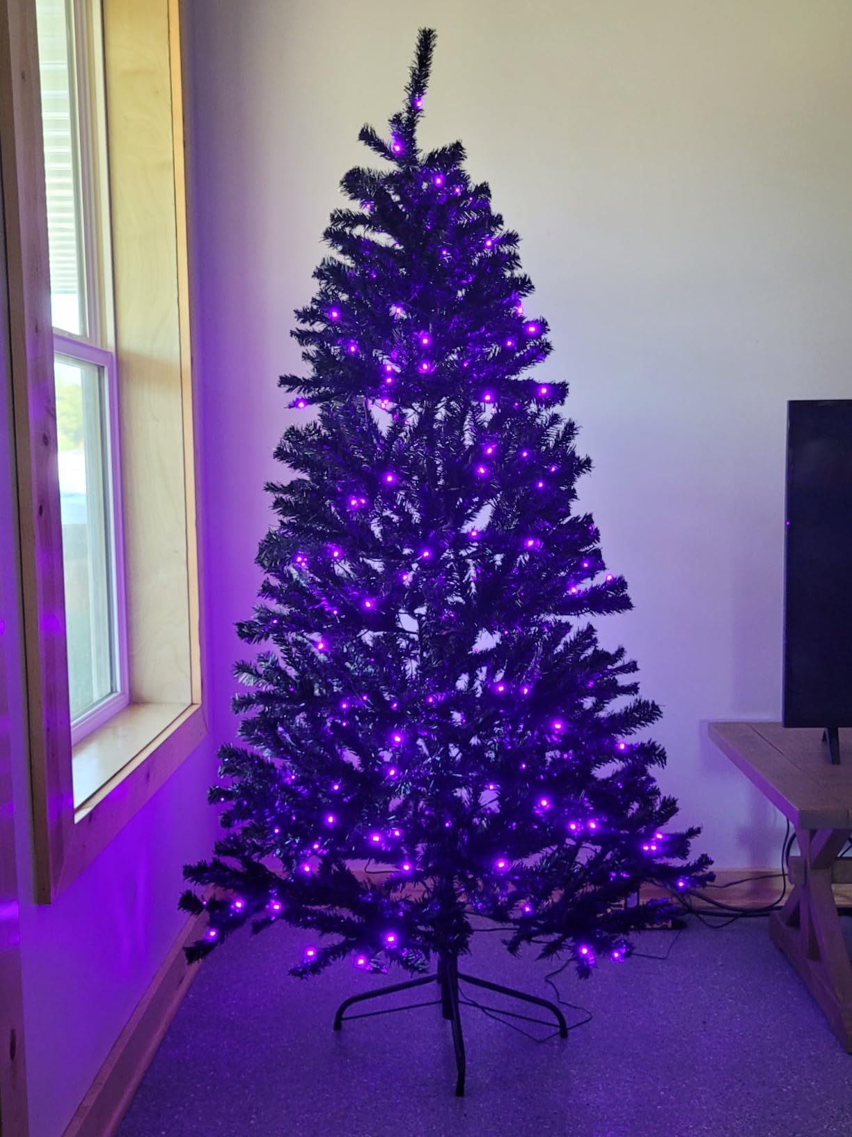 I love this tree!