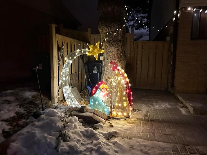Amazing Christmas Nativity scene