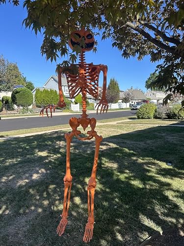 Skeleton