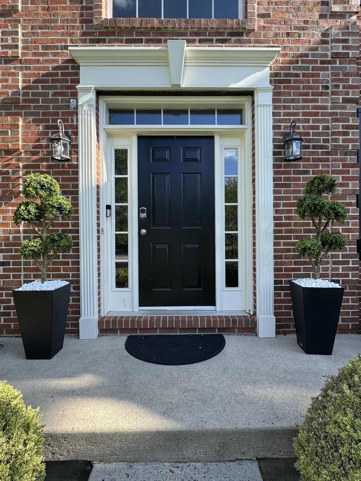 Pleasantly surprised! Our first fake plants!