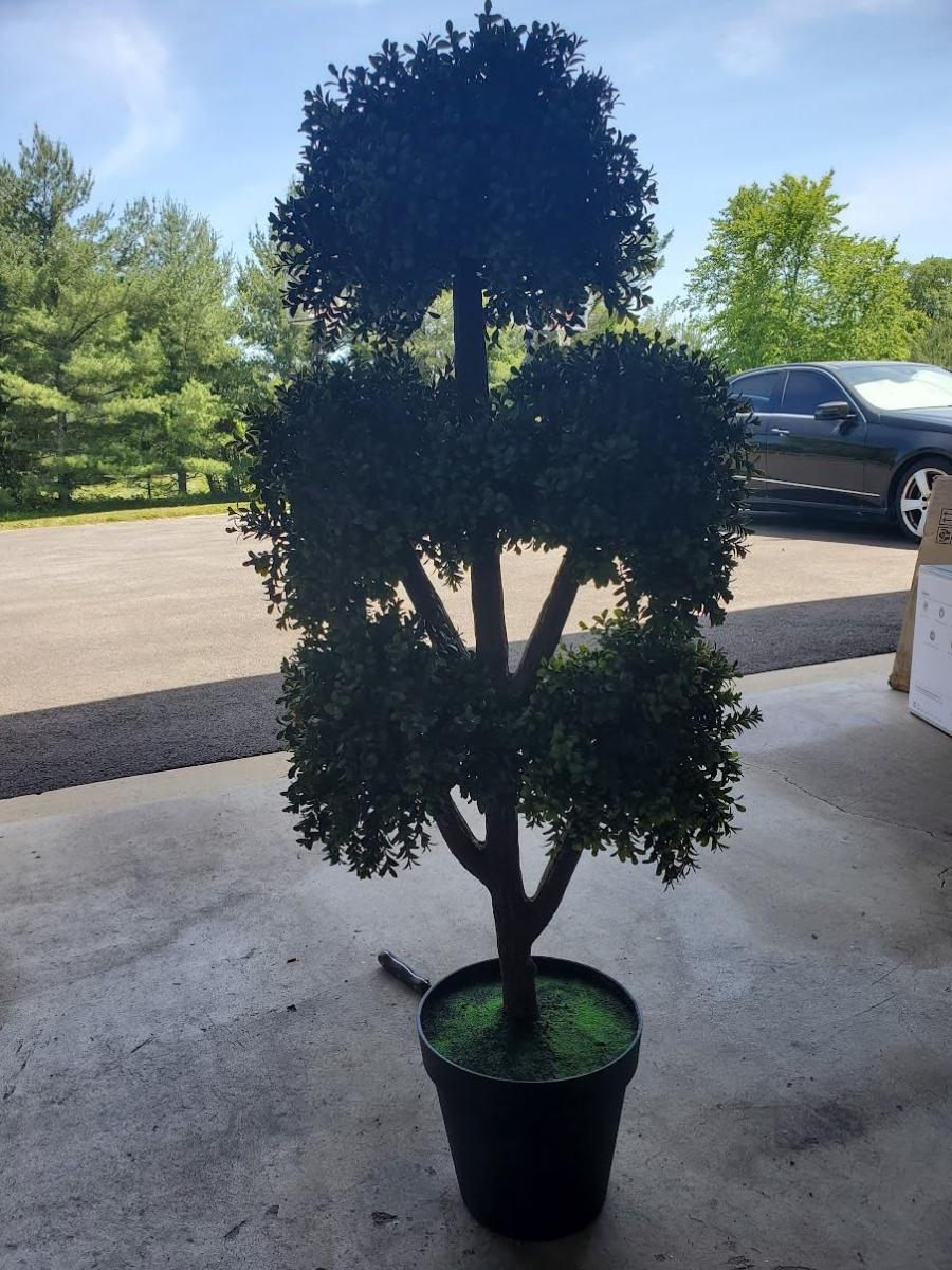Topiary Ball Tree.