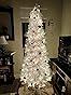 Very Nice Tree