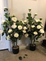 Overall very happy with them!