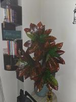 Artificial Croton plant