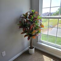 Great artificial flowers.