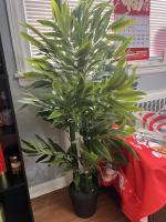 Bamboo tree