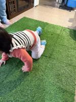 Great Quality & Easy Installation