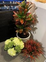 Great product and customer service!!