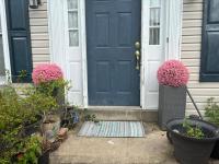 Pretty topiary balls