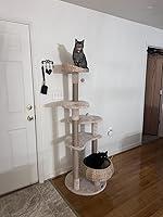 Cats like it