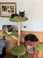 Kitties love this