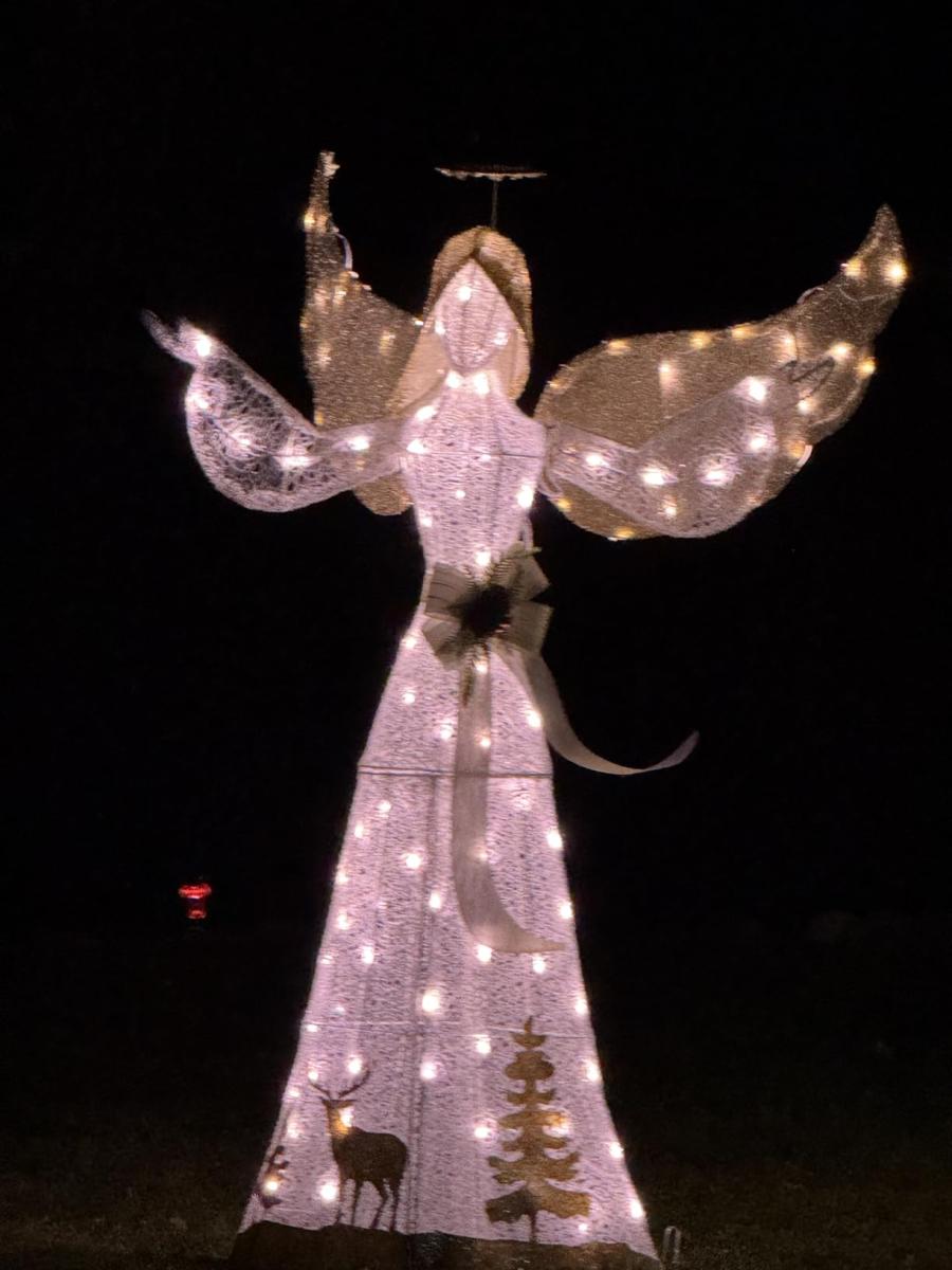 Beautiful addition to our outdoor Christmas decor