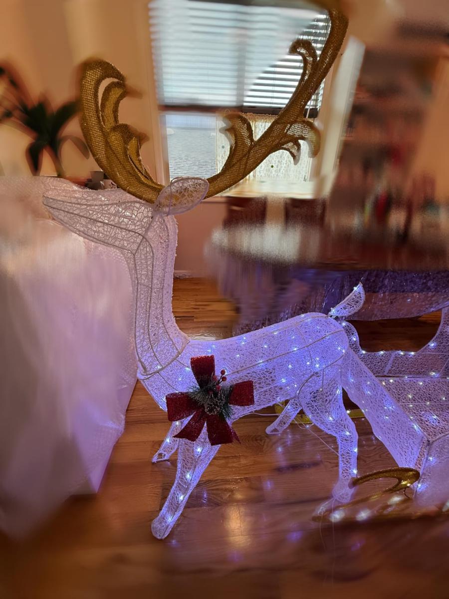 Nice and bright Christmas light decorations