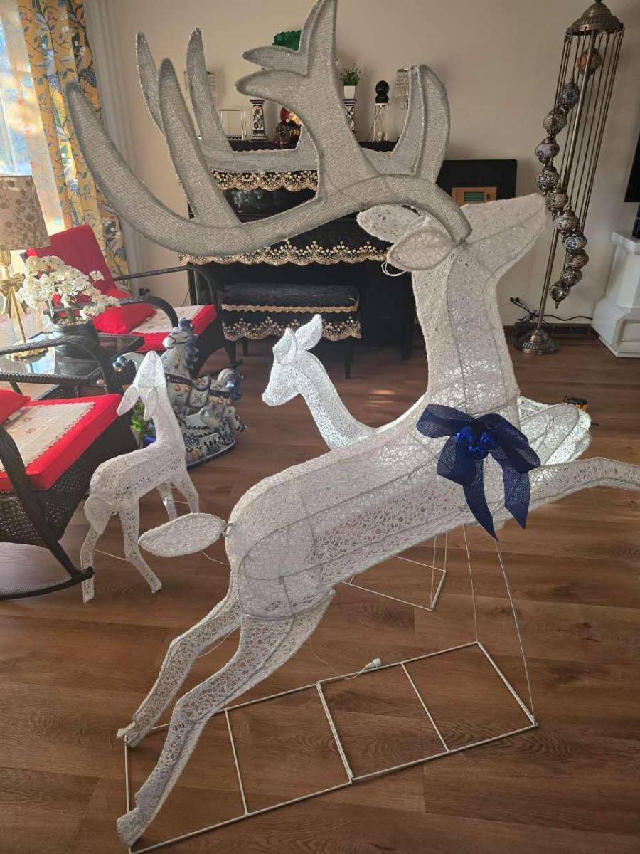 Great looking reindeer for my yard.