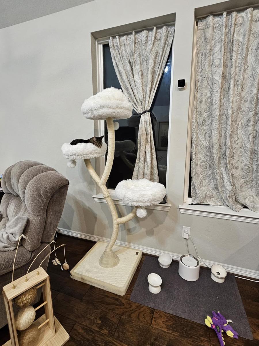 We LOVE this cat tree