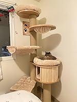 My cat loves her tower!