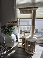 Clean and easy for senior cats