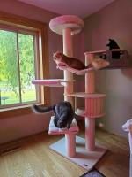 Tangkula Large multi level cat tree 77.5