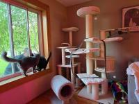 Tangkula Large multi level cat tree 77.5