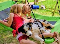 Kids and dog approved