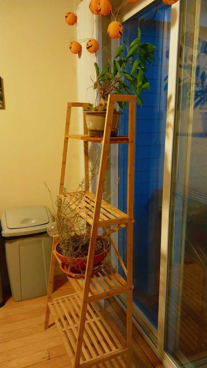 exactly as described!