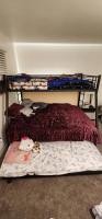 GREAT BED