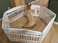 Good playpen