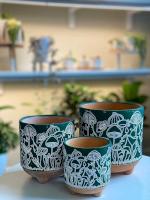 Super Cute Plant Pots