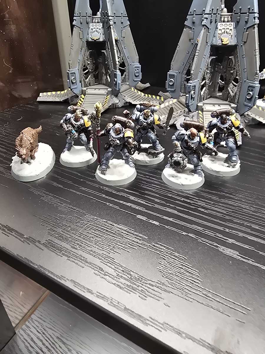 New Wolf Scouts!