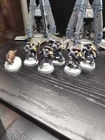 New Wolf Scouts!