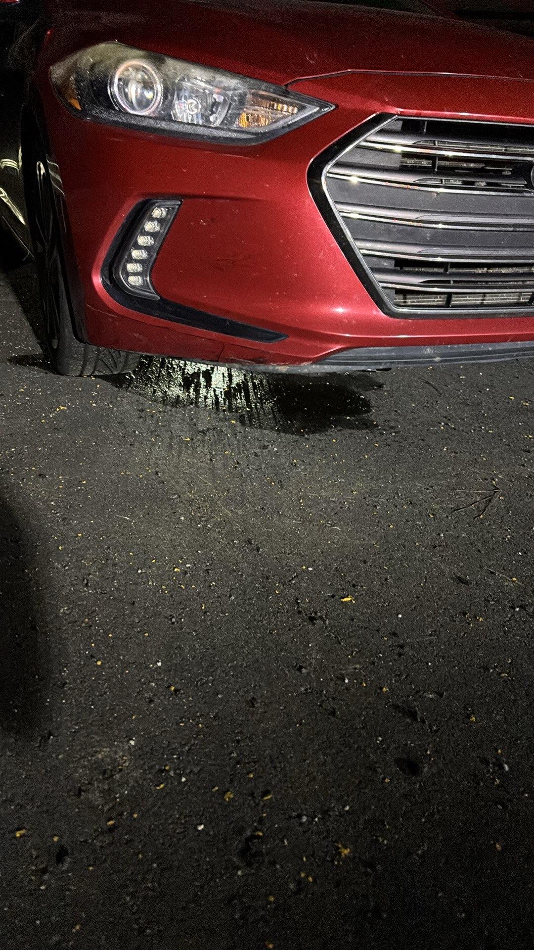 Engine Failure Under Warranty – Awaiting Final Resolution