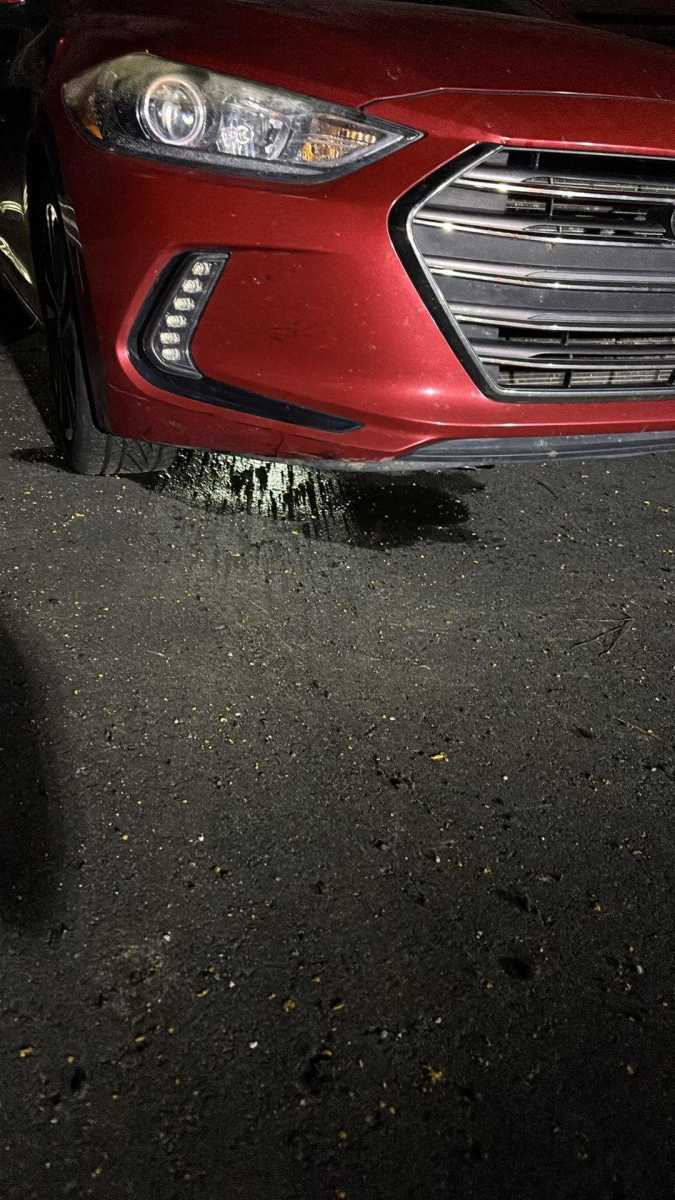 Engine Failure Under Warranty – Awaiting Final Resolution