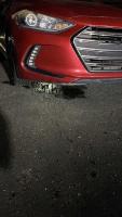 Engine Failure Under Warranty – Awaiting Final Resolution