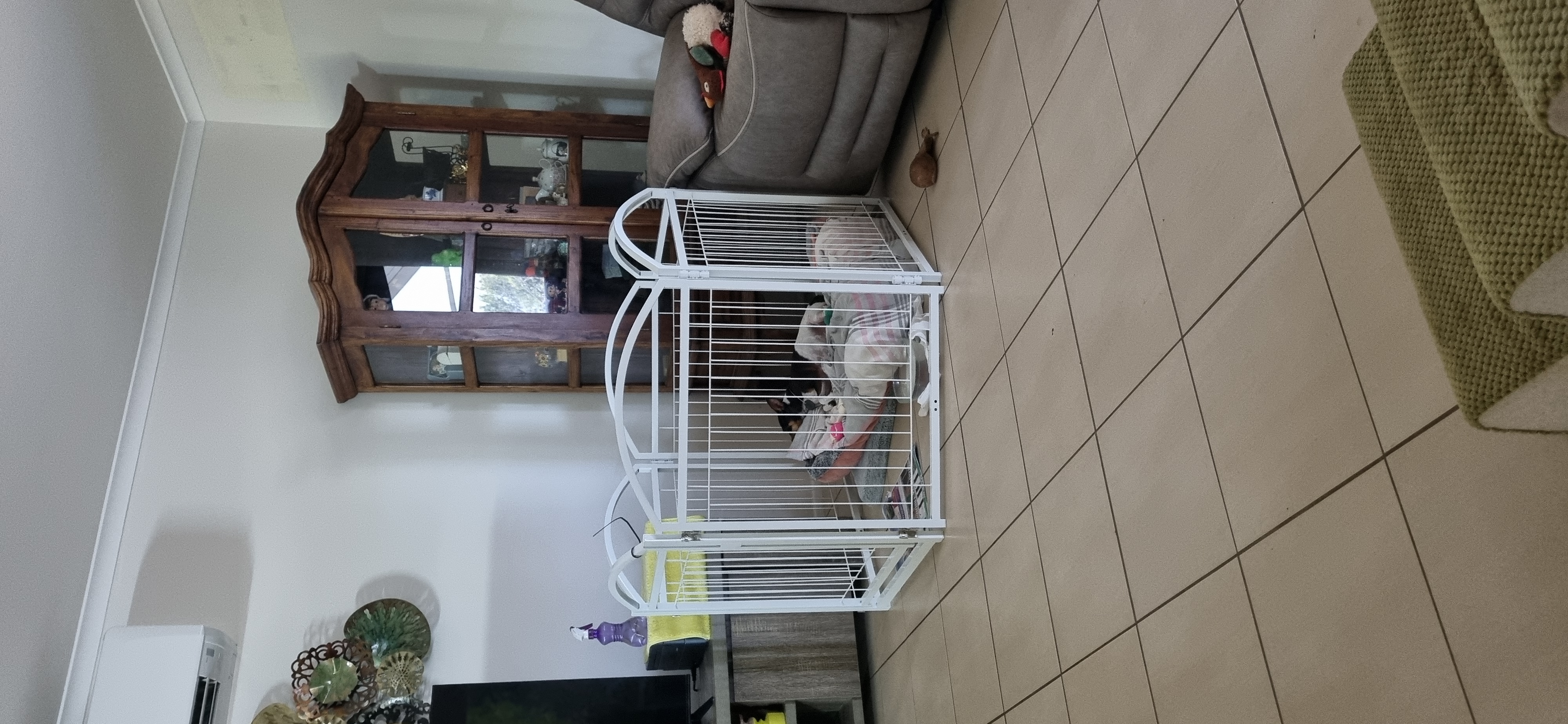 Dog barrier