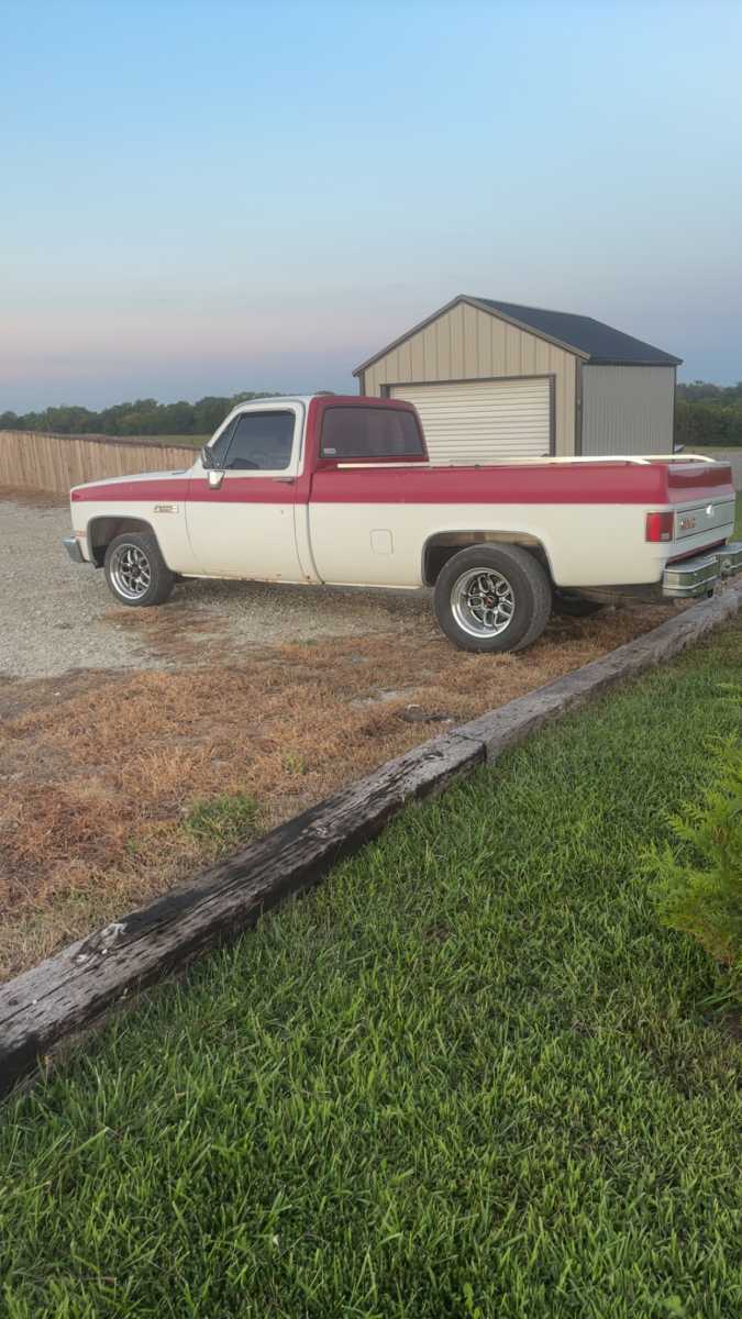 My purchase