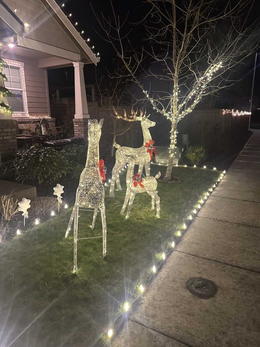 C – tip three-way splitter, connector!