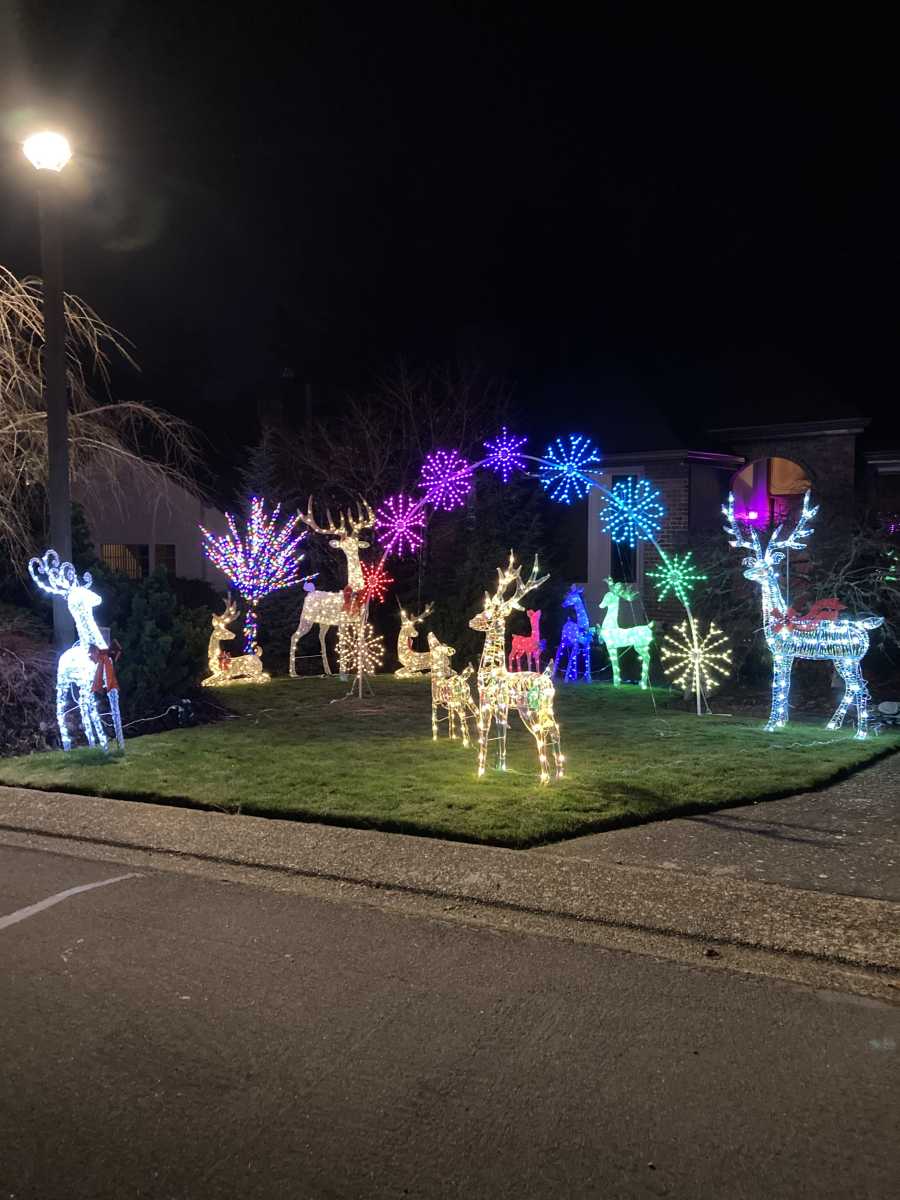 You saved our Christmas Display!