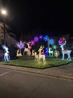 You saved our Christmas Display!