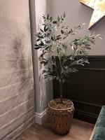 Rustic cham