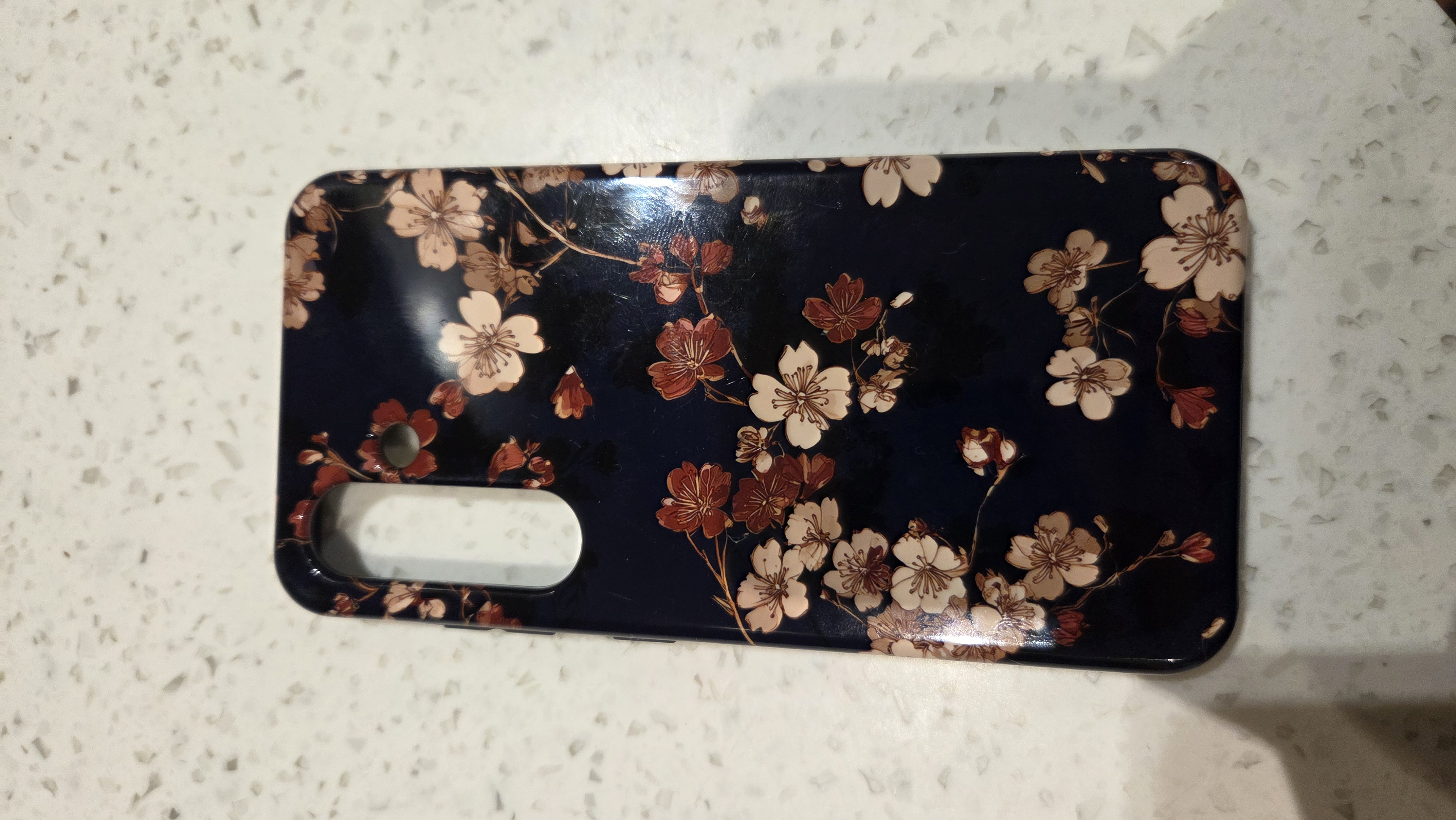 Fabulous case