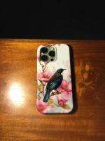 Tūī Case