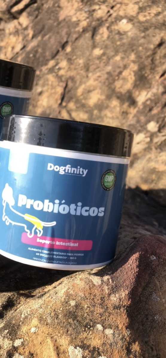 Probióticos