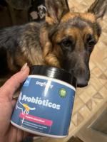 Los mejores suplementos que he encontrado