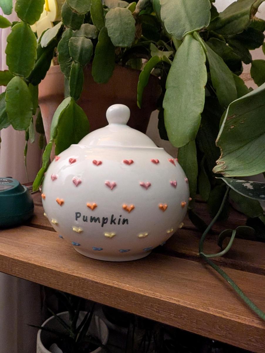 The urn came as described and was very securely wrapped in its packaging. The seller was very responsive and I appreciate that it came in the expected time frame.